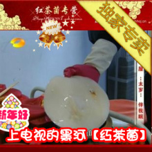 家用红菌菌套餐（2个复壮大号黑河红茶菌）