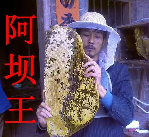 阿坝蜂王中蜂王种王中蜂蜂王活体中蜂阿坝原种王新产卵王-蜂养我|msdalam kategori haiwan peliharaan/makanan haiwan dan bekalan, haiwan kesayangan yang lain, haiwan kesayangan yang lain - dari Buy2taobao.com untuk memberikan perkhidmatan ejen Taobao profesional membeli