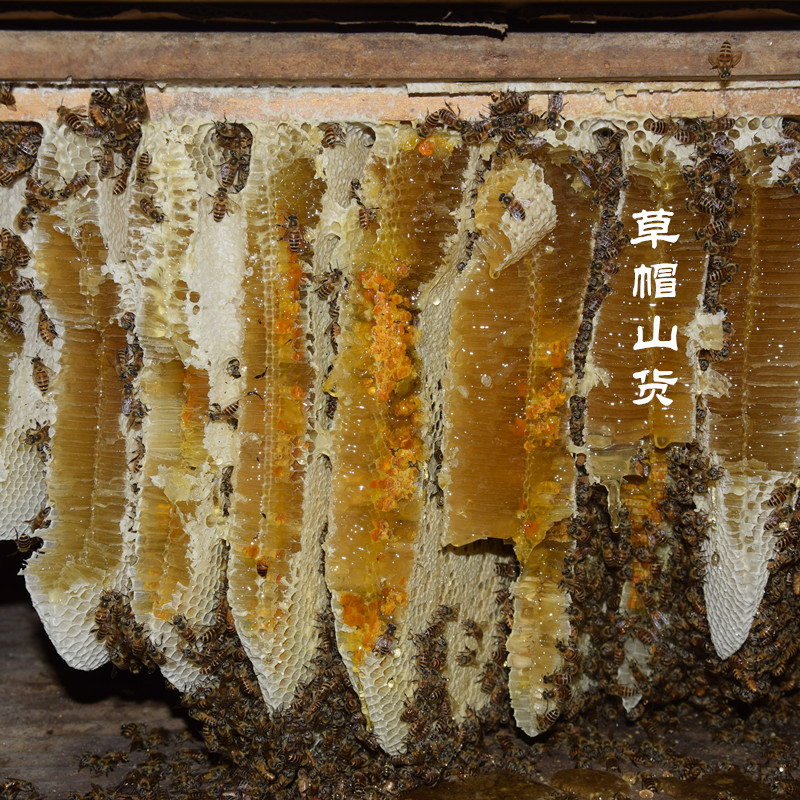 wild Soil honey Pure natural Farm Production Flowers honey Mountains The Chinese people Soil honey Mature Raw honey pregnant womanin the Traditional nourishing food , Honey category - from Buy2taobao.com to provide professional Taobao agent buy service