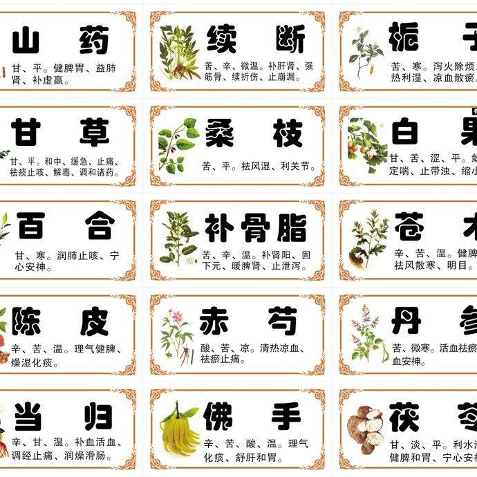 2018新版正名镀膜不干胶小规格中药标签常用中药字药名贴纸斗谱|msdalam kategori Kamus elektronik/buku kertas elektronik/alat tulis, Ini buku kertas, Sticker - dari Buy2taobao.com untuk memberikan perkhidmatan ejen Taobao profesional membeli
