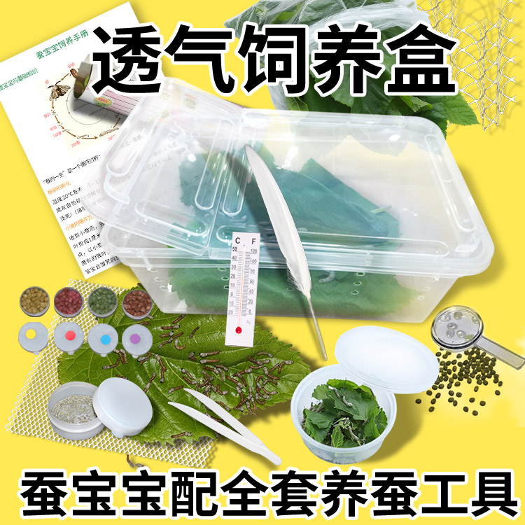 蚕宝宝套装送新鲜桑叶活蚕饲养盒蚕卵爬宠箱蚕饲料蚕别墅带盖透气|ruв категории животное/Животное питание и принадлежностей, аквариум мира, аквариум аквариум оборудования и т.д., аквариум/аквариум - от Buy2taobao.com для оказания профессиональной услуги покупки агента Taobao