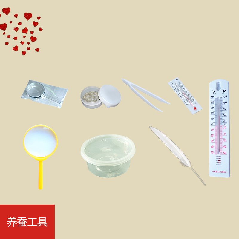 养蚕专用工具孵化盒温度计放大镜蚕夹鹅毛分养盒饲养盒工具齐全在类目 宠物/宠物食品及用品, 爬虫/鸣虫及其用品, 蚕宝宝中 - 来自Buy2taobao.com提供专业的淘宝代购服务