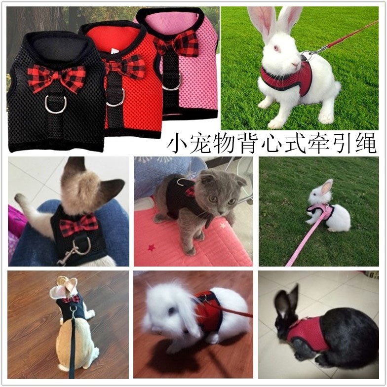 Pet rabbit Traction rope Vest type Princess rabbit Totoro Small dogs interaction Dedicated Thoracic and dorsal chainin the Pet/Pet food and supplies , Rabbits and supplies , Rabbit rope category - from Buy2taobao.com to provide professional Taobao agent buy service