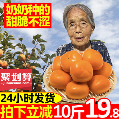 脆柿10斤脆甜硬柿子大果当季应季新鲜水果整箱巧克力脆皮脆柿子