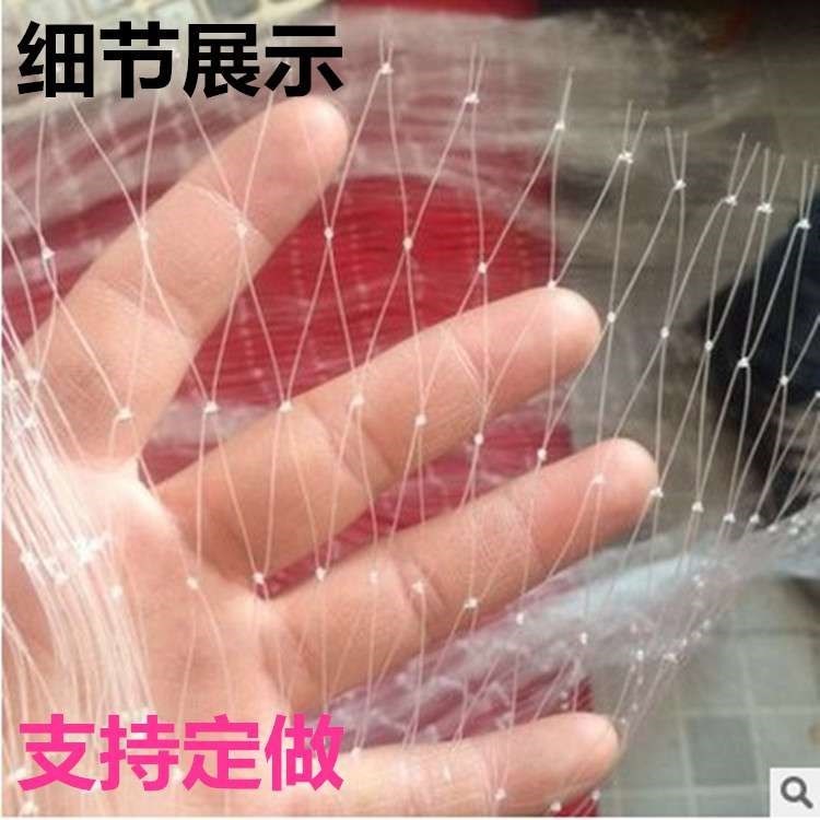 防鸟网果园葡萄防鸟网粘网包邮新款家用庭院尼龙防护罩|ruв категории доставка цветов/цветок моделирования/растения садоводства, садовых принадлежностей, других садовых принадлежностей - от Buy2taobao.com для оказания профессиональной услуги покупки агента Taobao