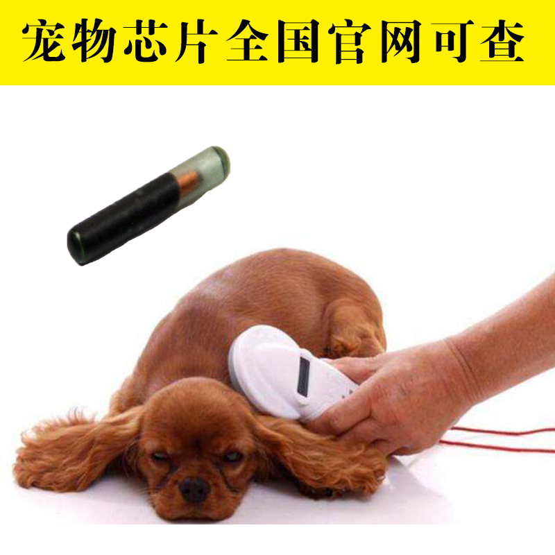 宠物芯片植入猫芯片狗证电子芯片官网可查植入式RFID狗芯片包邮在类目 宠物/宠物食品及用品, 宠物智能设备, 宠物智能穿戴设备中 - 来自Buy2taobao.com提供专业的淘宝代购服务