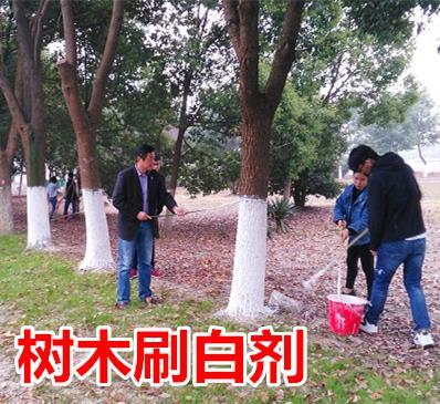 园林树皮冬天刷白剂刷树粉防寒树干防护保暖公园防霉绿化涂白粉在类目 鲜花速递/花卉仿真/绿植园艺, 园艺用品, 其它园艺用品中 - 来自Buy2taobao.com提供专业的淘宝代购服务