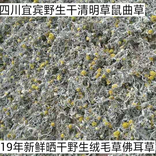 wild Mouse song grass 500g Cottonseed Dried vegetables Qingming grass Qingming Tuanzi Buffalo Twistin the Aquatic meat/Fresh fruits and vegetables/Cooked , Fresh vegetables/Vegetable products , Fresh vegetables , Other category - from Buy2taobao.com to provide professional Taobao agent buy service