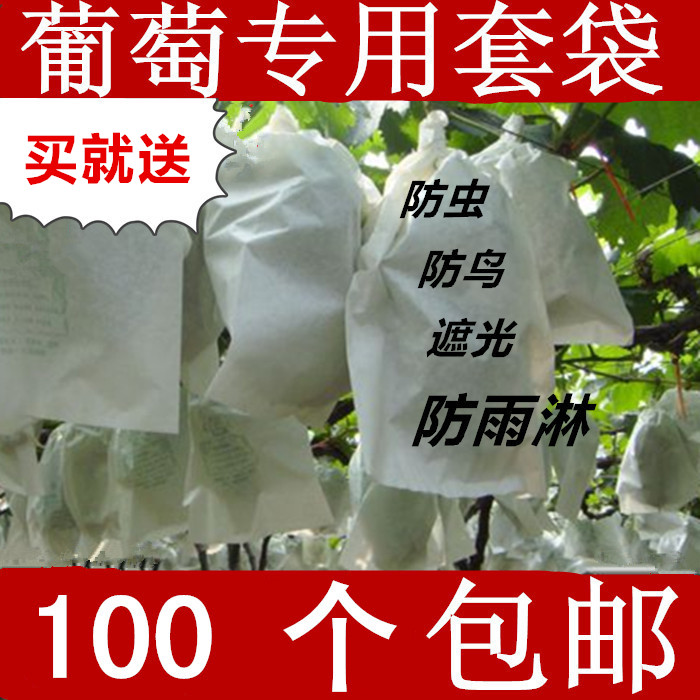 grape Fruit bag fruit Bagging Paper sleeve Fruit Bag Fruit tree grape Bag Pest controlin the Flower delivery/Flowers simulation/Plants gardening , Gardening supplies , Other Garden Supplies category - from Buy2taobao.com to provide professional Taobao agent buy service