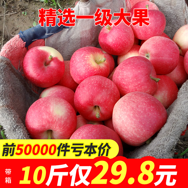 苹果水果一整箱10斤当季应季新鲜脆甜陕西嘎啦丑萍苹果包邮|ruв категории водной мясо/свежие фрукты и овощи/еда, свежие фрукты, яблоко - от Buy2taobao.com для оказания профессиональной услуги покупки агента Taobao