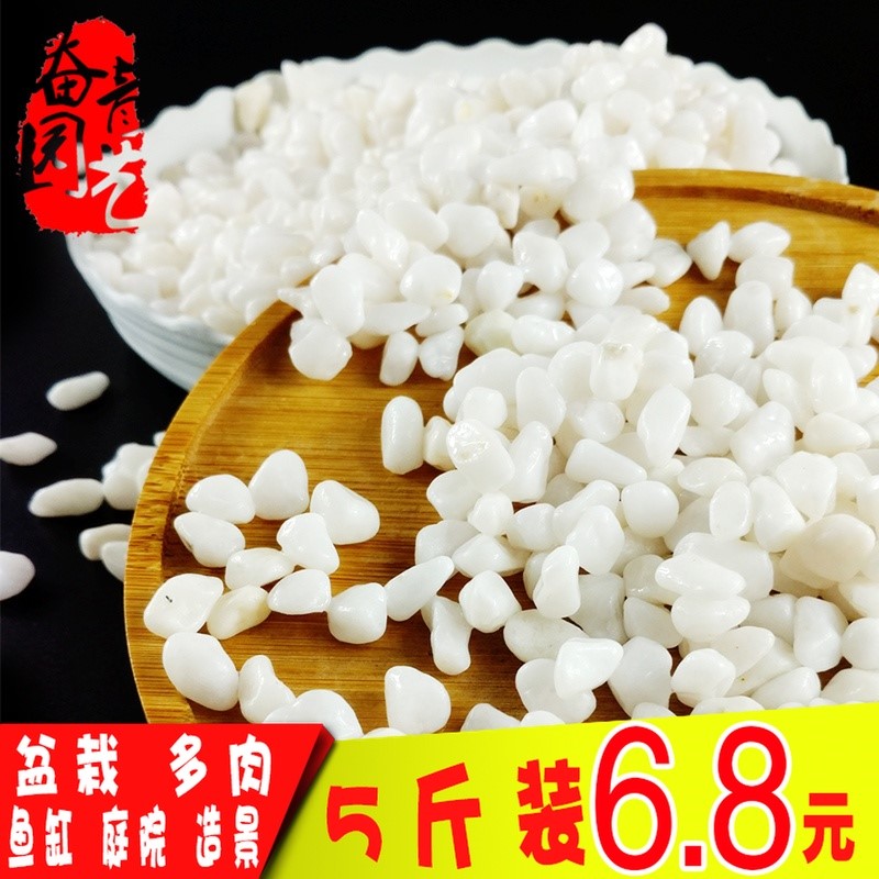 白石子白色小石頭天然包郵水培魚缸裝飾鋪面庭院多肉鵝卵石軟石頭在類目 鮮花速遞/花卉仿真/綠植園藝, 園藝用品, 其它園藝用品中 - 來自Buy2taobao.com提供專業的淘寶代購服務
