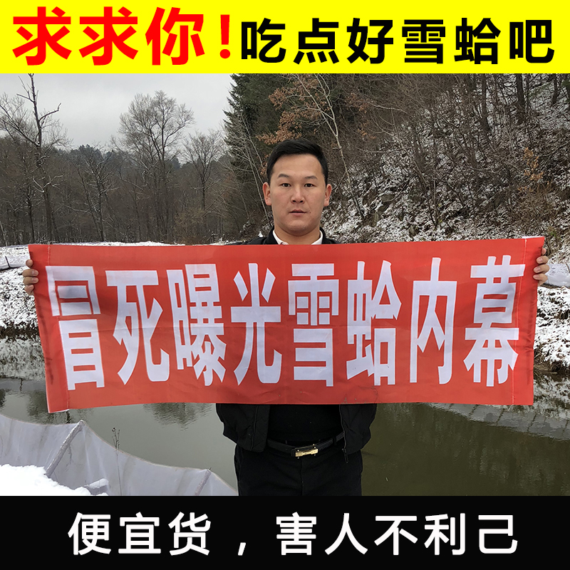 鹿大胆正品雪蛤大块25g 长白山雪蛤油林蛙油蛤蟆油雪哈东北雪蛤膏|ruв категории традиционные питательный пища, снег моллюсков/лягушка нефти, снег моллюсков масло - от Buy2taobao.com для оказания профессиональной услуги покупки агента Taobao