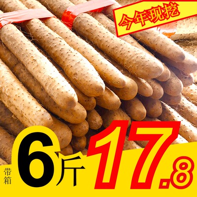 河北铁棍山药淮山药怀山药新鲜5斤铁杆麻山药蔬菜垆土非河南焦作