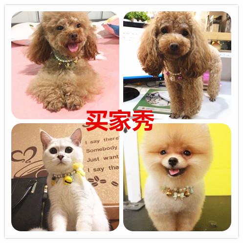结实耐用包邮狗狗铃铛泰迪猫咪项圈宠物珍珠项链蝴蝶结兔子猫铃在类目 宠物/宠物食品及用品, 宠物服饰及配件, 挂饰/挂牌中 - 来自Buy2taobao.com提供专业的淘宝代购服务