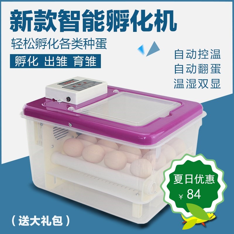 孵化箱小型孵蛋器全自动家用孵小鸡器电恒温器家用型简易保温设备|ruв категории оборудование/инструменты, приборы, электрический инструмент - от Buy2taobao.com для оказания профессиональной услуги покупки агента Taobao