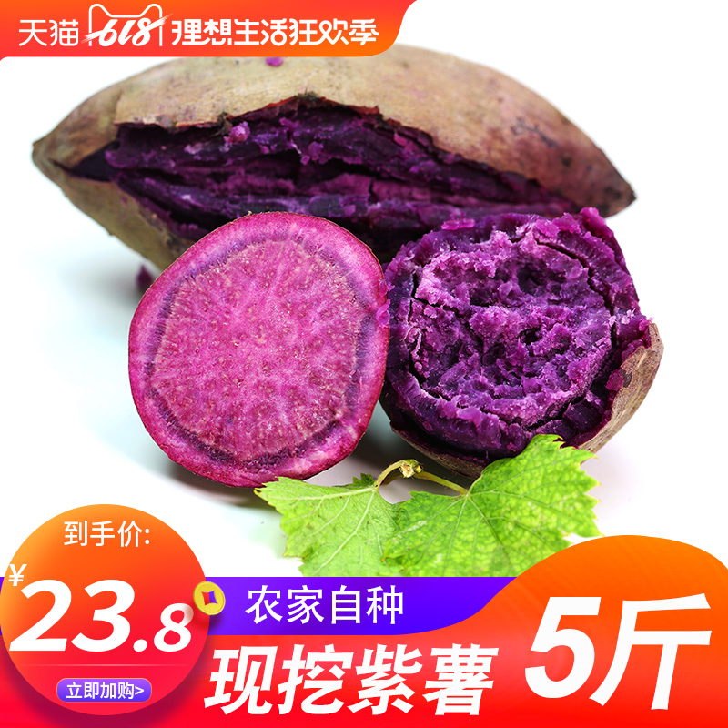 现挖新鲜紫薯5斤农家包邮小番薯红皮地瓜板栗蜜甜香薯蔬菜山芋在类目 水产肉类/新鲜蔬果/熟食, 新鲜蔬菜/蔬菜制品, 新鲜蔬菜, 番薯中 - 来自Buy2taobao.com提供专业的淘宝代购服务