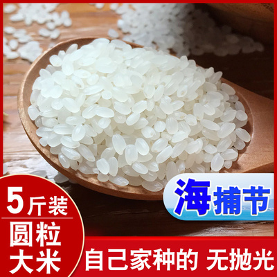 新米东北大米2.5kg黑龙江珍珠米农家自产秋田小町5斤装粳米10
