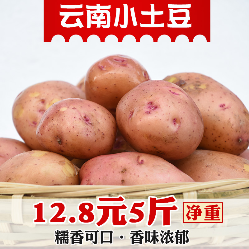 Yunnan fresh Small potatoes Farm Vegetables Redskins Yellow Yellow Heart Potato Potato Potato Net weight 5 poundsin the Aquatic meat/Fresh fruits and vegetables/Cooked , Fresh vegetables/Vegetable products , Fresh vegetables , Potato category - from Buy2taobao.com to provide professional Taobao agent buy service