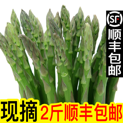 2斤顺丰包邮】现挖新鲜芦笋绿青笋3切除白根农家自种蔬菜龙须菜