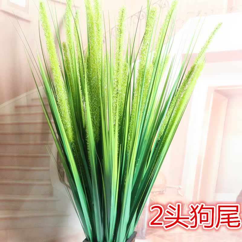 仿真狗尾巴草仿真芦荟芦苇干花假花仿真狗尾巴长草狗尾仿真在类目 3C数码配件, 手机配件, 手机保护套/壳中 - 来自Buy2taobao.com提供专业的淘宝代购服务