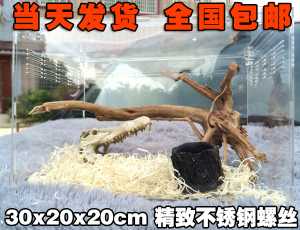 宠物盒亚克力爬虫箱横竖款款蜘蛛蝎子角蛙守宫蜥蜴爬宠饲养箱爬箱在类目 宠物/宠物食品及用品, 爬虫/鸣虫及其用品, 爬虫/鸣虫用具中 - 来自Buy2taobao.com提供专业的淘宝代购服务