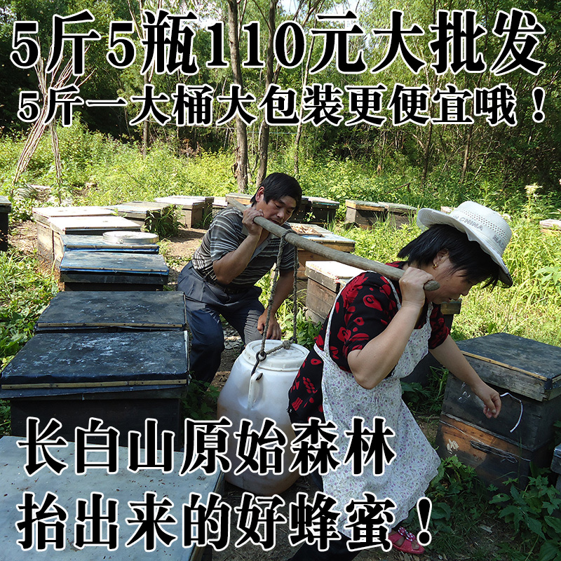 聚野椴树蜜蜂蜜5斤110元批发紫椴蜜元长白山原蜜在类目 传统滋补营养品, 蜂蜜中 - 来自Buy2taobao.com提供专业的淘宝代购服务