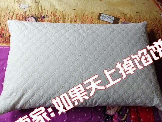 South sleep decorated Special shop Delicate Quilted Pillow Pillow Pillow Soft and comfortablein the Bedclothes , Pillow/Pillow/Pillow/Cervical pillow category - from Buy2taobao.com to provide professional Taobao agent buy service