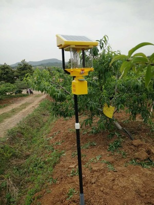 正品太阳能杀虫灯 农业水稻田间杀虫灯 太阳能诱蚊虫灭虫灯茶叶用|msdalam kategori rumah harian, bekalan deworming, Mosquito Killer/Penyerapan nyamuk/IED - dari Buy2taobao.com untuk memberikan perkhidmatan ejen Taobao profesional membeli