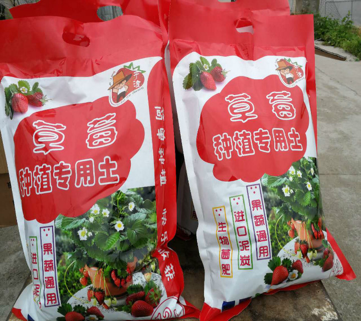 草莓种植 栽培专用土 草莓土 数年经验不烧苗 5.5斤左右 12升在类目 鲜花速递/花卉仿真/绿植园艺, 园艺用品, 家庭园艺肥料/营养土/营养液中 - 来自Buy2taobao.com提供专业的淘宝代购服务