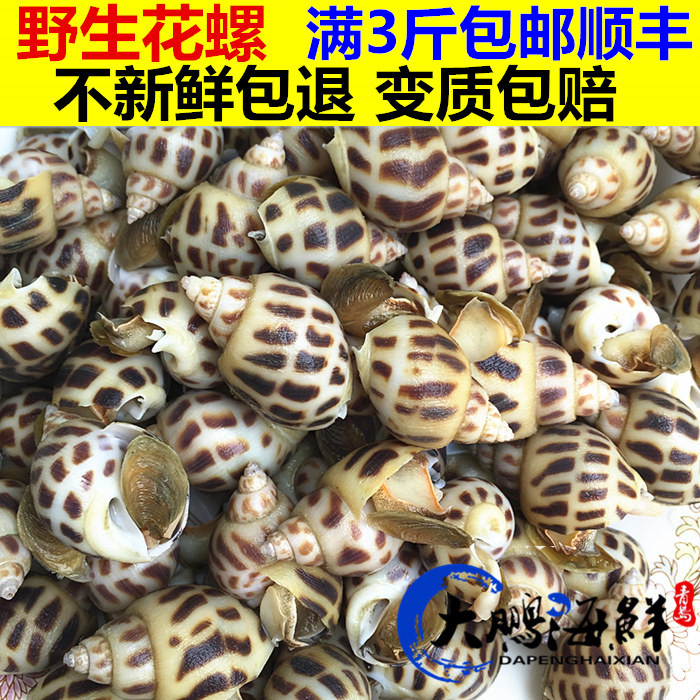 青岛白花螺东风螺野生海螺冷冻新鲜贝壳类海鲜水产500g 3斤包邮在类目 水产肉类/新鲜蔬果/熟食, 海鲜/水产品/制品, 贝类, 贝类制品中 - 来自Buy2taobao.com提供专业的淘宝代购服务