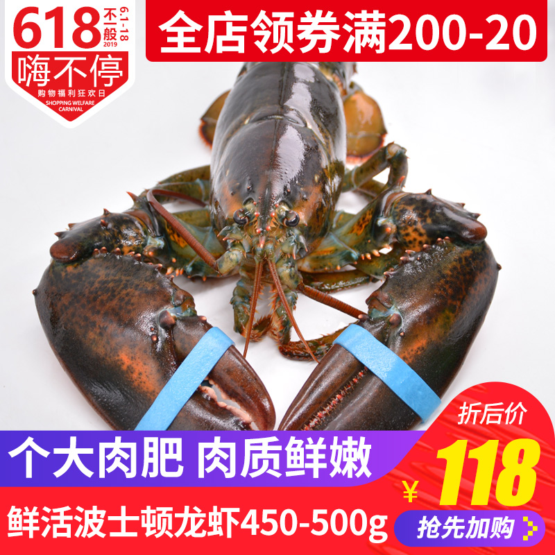 Imported Boston lobster Fresh Lobster Deep sea Fishing Seafood Meat 450-500gin the Aquatic meat/Fresh fruits and vegetables/Cooked , Seafood/Aquatic/Product , Shrimp , Huoxia category - from Buy2taobao.com to provide professional Taobao agent buy service