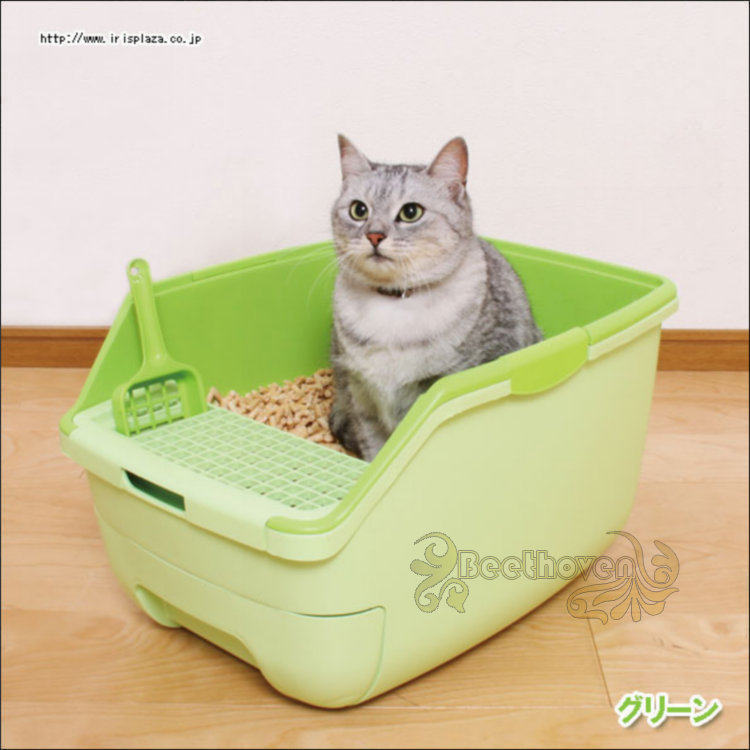 4. Место расположения и доступность