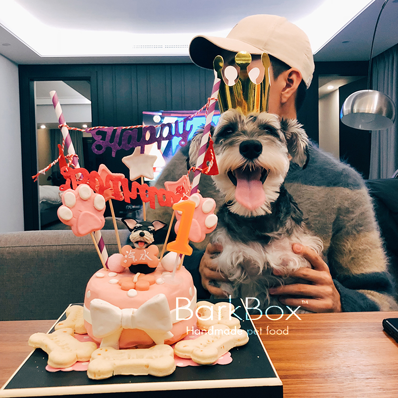 BarkBox定制宠物生日蛋糕狗狗蛋糕猫蛋糕手工diy创意泰迪金毛柯基|ruв категории животное/Животное питание и принадлежностей, собака закуски - от Buy2taobao.com для оказания профессиональной услуги покупки агента Taobao