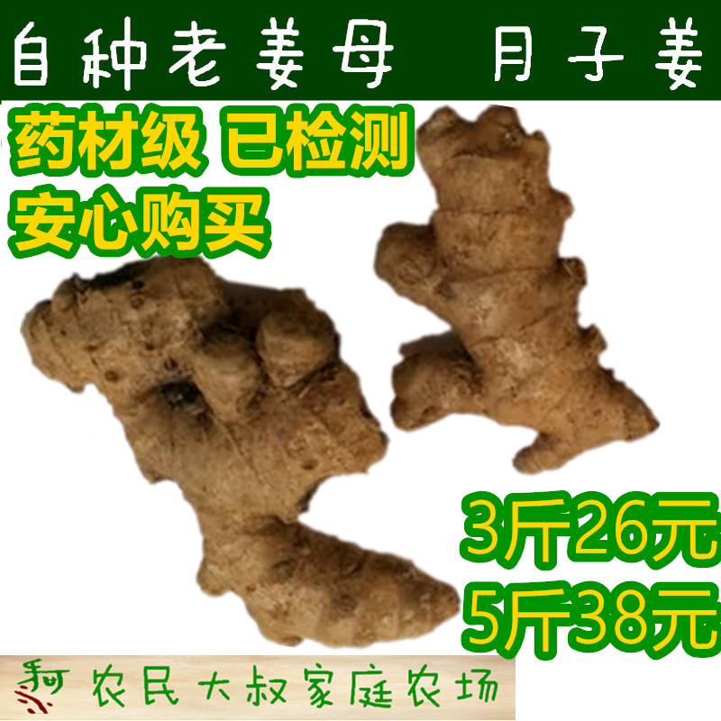 Over the past three years, particularly old Old Ginger Mother 5 pounds Ginger month Ginger ginger fresh Ginger Turmericin the Aquatic meat/Fresh fruits and vegetables/Cooked , Fresh vegetables/Vegetable products , Ginger category - from Buy2taobao.com to provide professional Taobao agent buy service