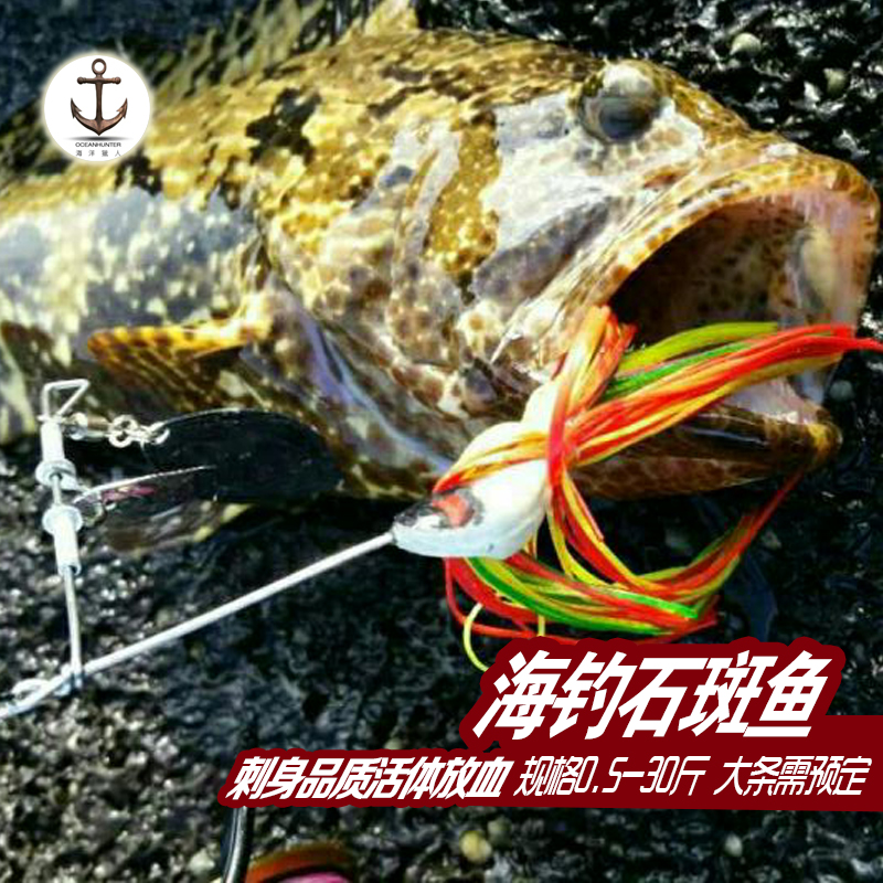 石斑鱼鲜活,野生新鲜,泥斑,青斑,珍珠斑,龙趸斑,东星斑在类目 水产肉类/新鲜蔬果/熟食, 海鲜/水产品/制品, 其它中 - 来自Buy2taobao.com提供专业的淘宝代购服务