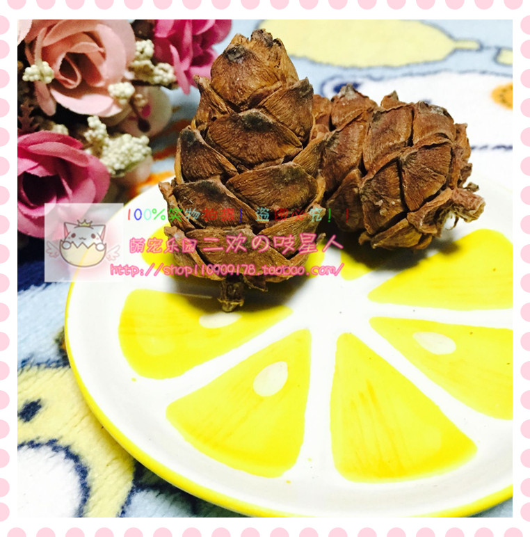 【二欢家】仓鼠玩具 松鼠仓鼠磨牙零食马尾松塔带松子1个入买5送1|msdalam kategori haiwan peliharaan/makanan haiwan dan bekalan, hamsters kelas haiwan peliharaan dan lain-lain kecil, Feed/makanan ringan - dari Buy2taobao.com untuk memberikan perkhidmatan ejen Taobao profesional membeli