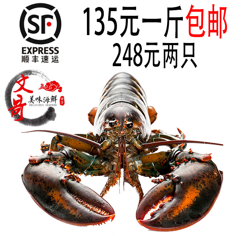 鲜活波龙 波士顿龙虾 大龙虾 波龙海鲜 鲜活海鲜水产 大波龙 波龙在类目 水产肉类/新鲜蔬果/熟食, 海鲜/水产品/制品, 虾类, 活虾中 - 来自Buy2taobao.com提供专业的淘宝代购服务