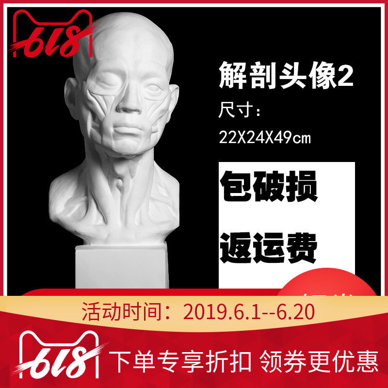 綜美石膏像解剖頭像二H57CM 美院硬模石膏像 專業美術室配套石膏頭像 素描臨摹石膏 石膏雕塑擺件在類目 電子詞典/電紙書/文化用品, 畫具/畫材/書法用品, 石膏像中 - 來自Buy2taobao.com提供專業的淘寶代購服務
