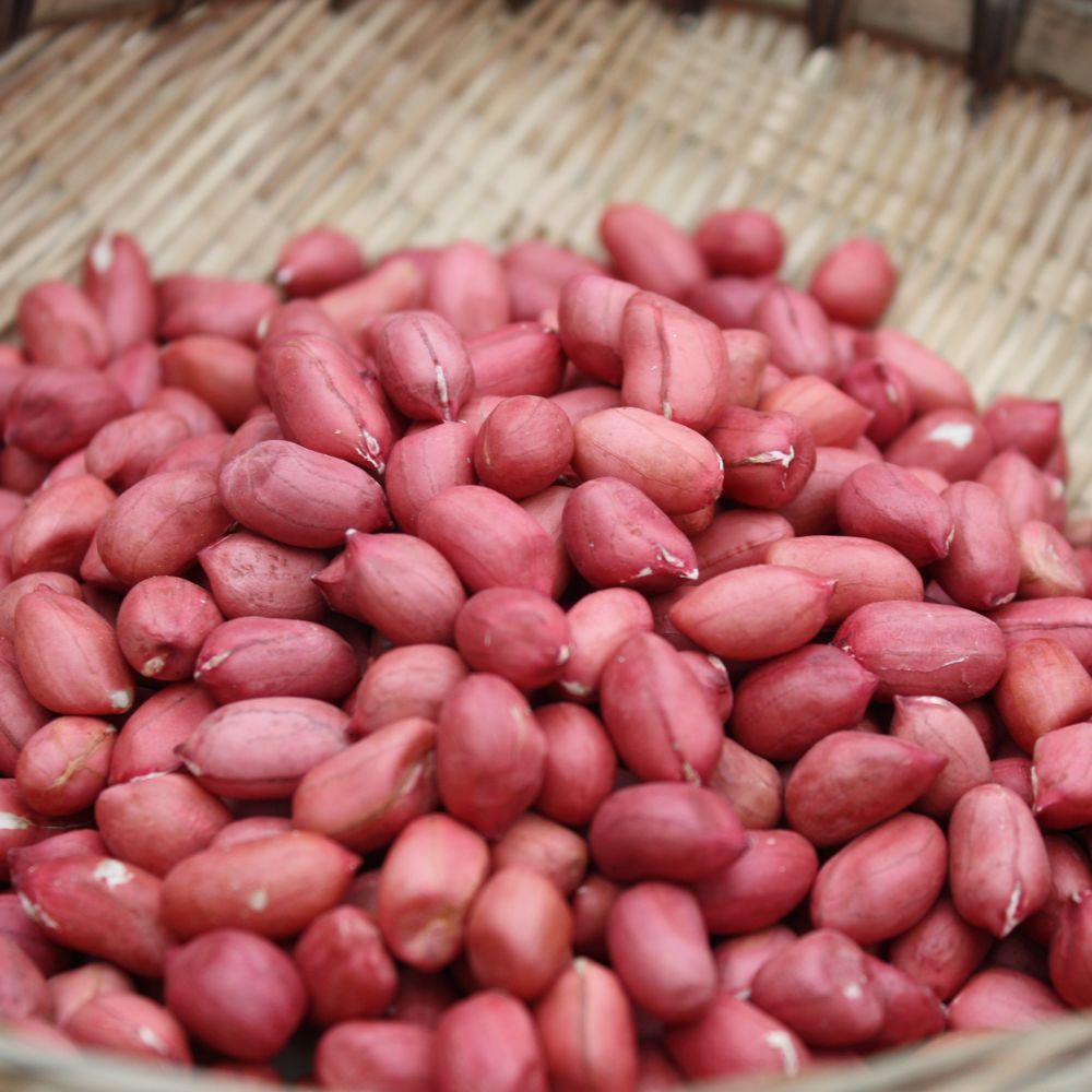 Farm Hand stripping Redskins Peanuts Breed Pellets Uncooked rice Sichuan Province Native Walnut sesame Dried vegetables Mountain productsin the Agri rice/Dried foods/Condiment , Dried foods/Meat Dry , Dry/Native , Other category - from Buy2taobao.com to provide professional Taobao agent buy service
