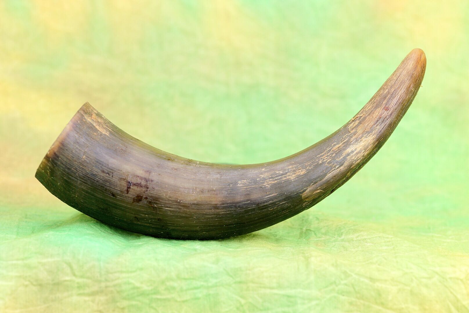 宠物狗狗牦牛角磨牙棒洁齿骨清火耐咬零食媲美鹿角法斗中大型犬在类目 宠物/宠物食品及用品, 狗零食中 - 来自Buy2taobao.com提供专业的淘宝代购服务