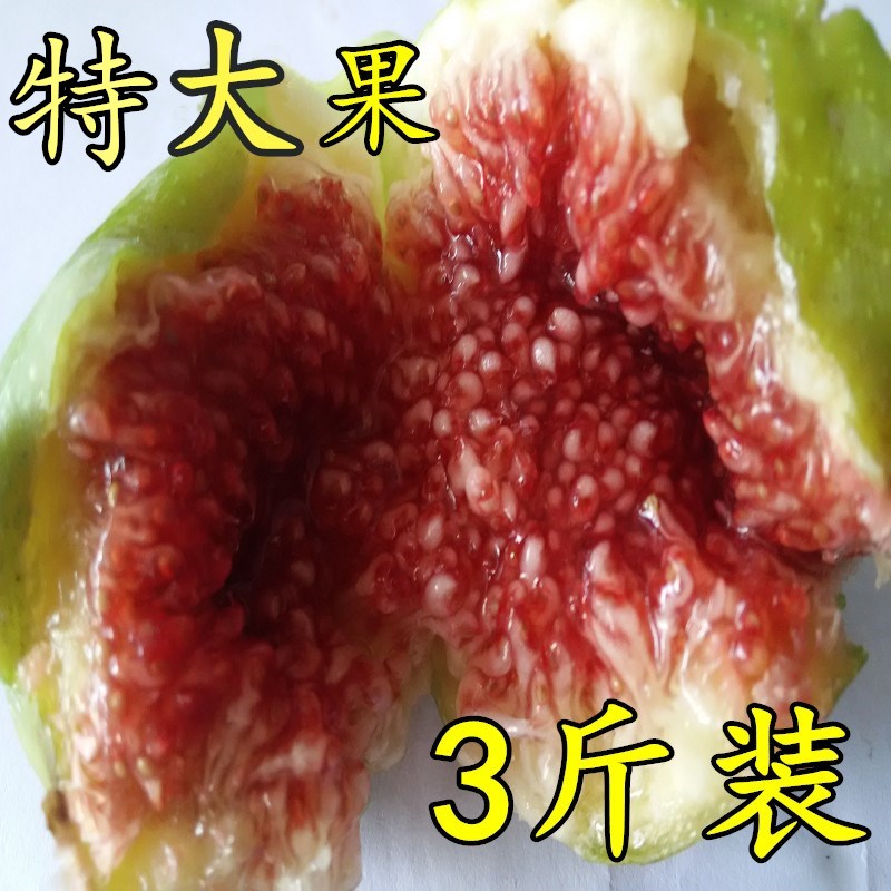 3斤裝 威海特産新鮮冷凍無花果青皮鮮果水果 包郵順豐在類目 水產肉類/新鮮蔬果/熟食, 新鮮水果, 其它中 - 來自Buy2taobao.com提供專業的淘寶代購服務