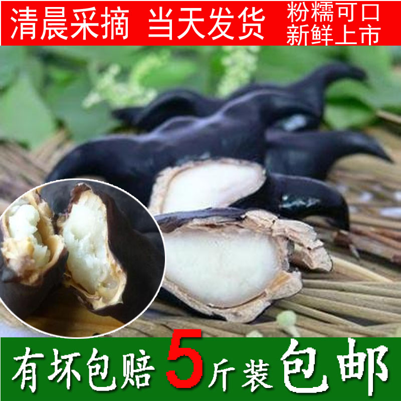 菱角湖北特产野生新鲜老菱角农产品黑青菱角蔬菜现摘现发5斤包邮在类目 水产肉类/新鲜蔬果/熟食, 新鲜蔬菜/蔬菜制品, 新鲜蔬菜, 其它中 - 来自Buy2taobao.com提供专业的淘宝代购服务