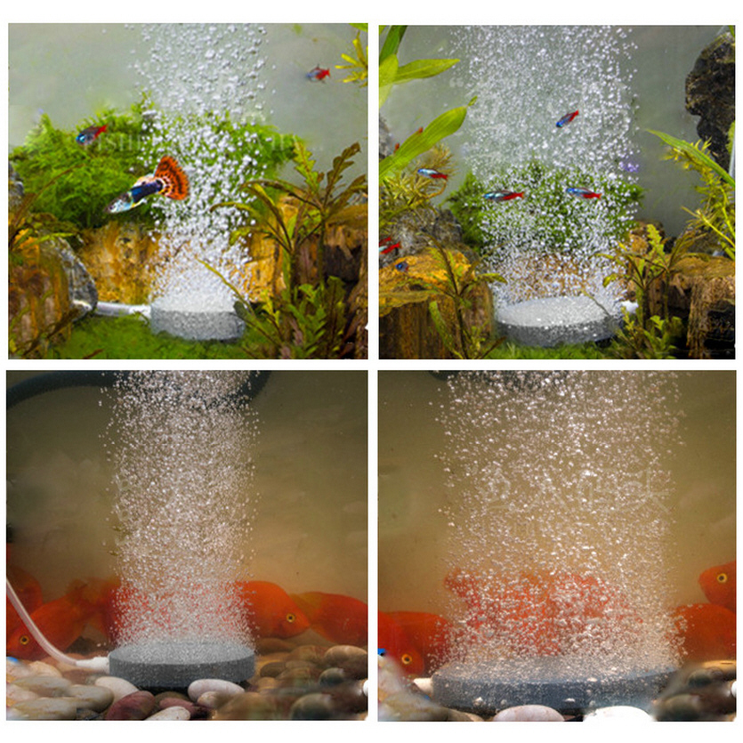 水族箱鱼缸充氧气泵专用气泡石气饼气盘乌龟型圆柱砂头增氧用|ruв категории животное/Животное питание и принадлежностей, аквариум мира, аквариум аквариум оборудования и т.д., Чонг кислородный насос - от Buy2taobao.com для оказания профессиональной услуги покупки агента Taobao