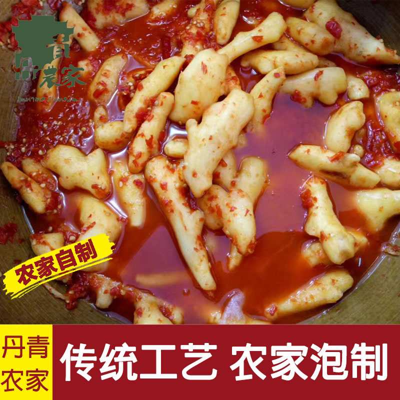 Stir fried ginger with chopped pepper radish Season Whole Duojiao Ginger dishin the Aquatic meat/Fresh fruits and vegetables/Cooked , Pickled vegetables/Pickle/Pickles/Dehydrated vegetables , Pickled/Pickle category - from Buy2taobao.com to provide professional Taobao agent buy service