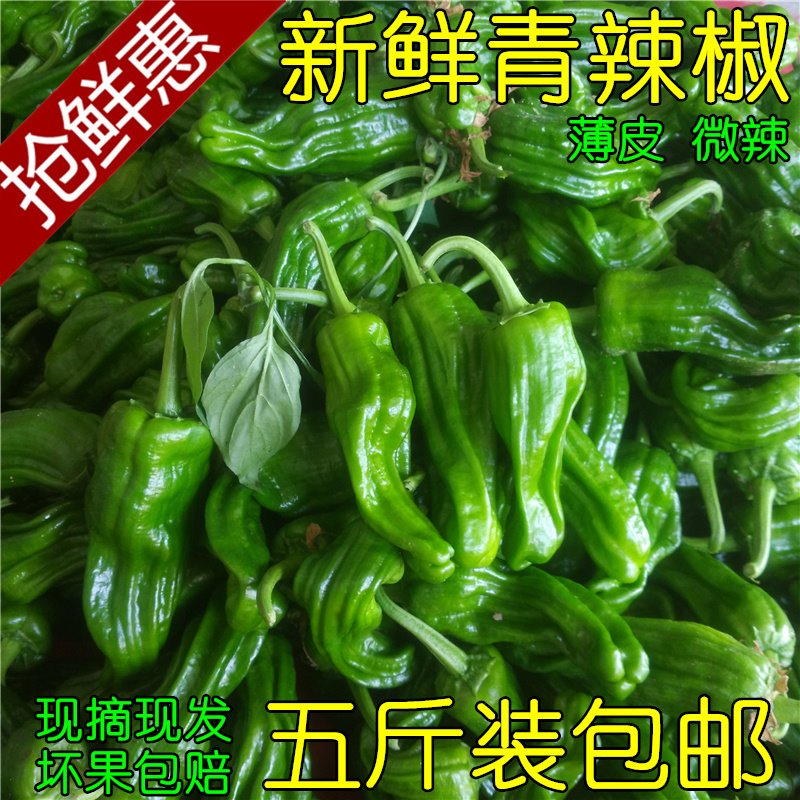 现摘新鲜青辣椒农家自种青椒薄皮椒微辣芜湖椒虎皮椒应季新鲜蔬菜在类目 水产肉类/新鲜蔬果/熟食, 新鲜蔬菜/蔬菜制品, 新鲜蔬菜, 其它中 - 来自Buy2taobao.com提供专业的淘宝代购服务