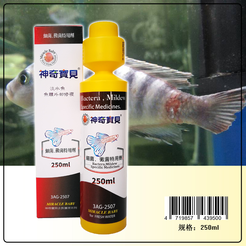 台湾神奇宝贝细菌霉菌特用剂250ml治水霉病蒙眼外伤烂鳍杀菌水在类目 宠物/宠物食品及用品, 水族世界, 鱼缸净水剂中 - 来自Buy2taobao.com提供专业的淘宝代购服务