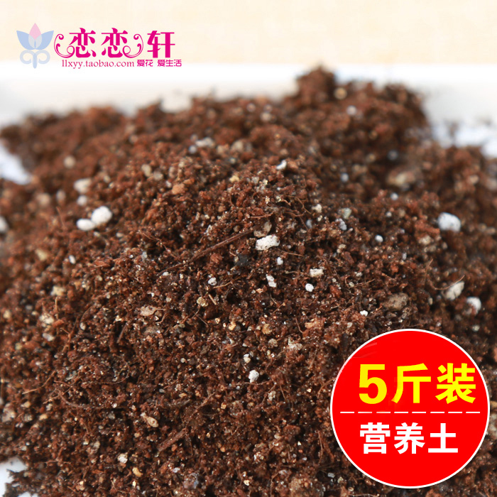 家庭盆栽种花种菜种植土养花土草泥炭土 多肉植物营养土 5斤装在类目 鲜花速递/花卉仿真/绿植园艺, 园艺用品, 家庭园艺肥料/营养土/营养液中 - 来自Buy2taobao.com提供专业的淘宝代购服务