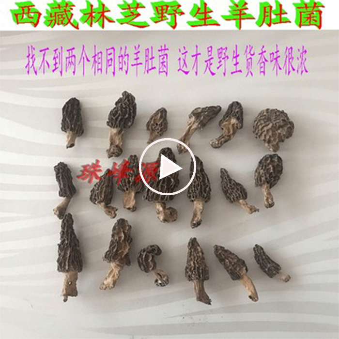 50g SF Tibet Nyingchi wild Morel mushroom dried food No wild Refundin the Kitchen/Cooking utensils , Cooking utensils , Cookware/Pot/Kettle , Casserole/Kamameshi category - from Buy2taobao.com to provide professional Taobao agent buy service