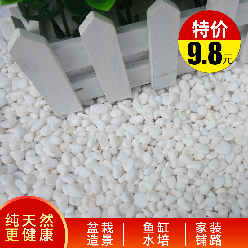 white Small stones Yuhua Whitehead Hydroponics gardening decorate Paved courtyard Succulent natural Pebblein the Flower delivery/Flowers simulation/Plants gardening , Gardening supplies , Other Garden Supplies category - from Buy2taobao.com to provide professional Taobao agent buy service