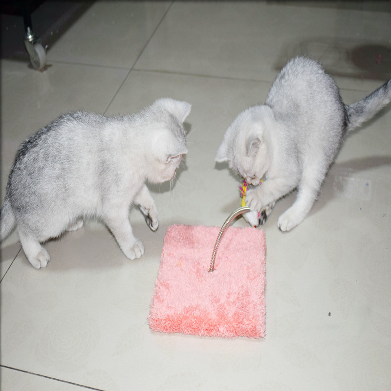 Special Offer Direct selling Pets Scratching solid wood trumpet Flat Sisal Column Climbing frame Jumping Toys Suppliesin the Pet/Pet food and supplies , Cat/Dog Toys , Scratching category - from Buy2taobao.com to provide professional Taobao agent buy service